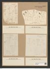 Diatomeae indet. (de-Toni-Nr.: Species 2968) Zeichnungen Sammlung Grunow Nr. 6051 (NHMW-BOT-W0374560)